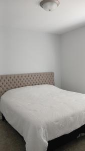 Un dormitorio con una cama con una colcha blanca. en Comfortable 2, en Canutillo 4 fotos más