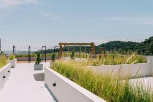 a garden with tall grass on a building at NEW Cozy&Modern Apt 30min from SurfCity in Hacienda Plan de La Laguna