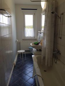 a bathroom with a shower and a sink and a window at Fewo Kranichsee Wgh in Eibenstock