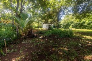 una casa en medio de un bosque en Newly built Surf Hideaway in Avellanas Beach, en Playa Avellana