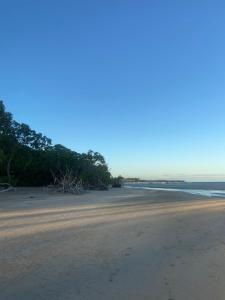 une plage de sable avec des arbres et l'océan dans l'établissement AnaManô Flat térreo, à São Miguel dos Milagres