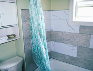 een badkamer met een blauw douchegordijn naast een toilet bij 7-Bedroom Retreat Sleeps 13 in East Grand Forks