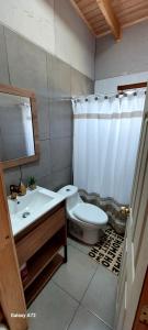 a bathroom with a toilet and a sink and a shower at Casa de campo chiloe pugueñun ancud in Ancud