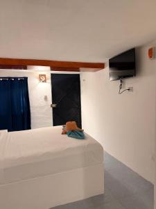 a bedroom with a bed with a television and a window at Hotel Chuburna in Chuburná