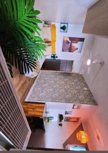 Kuchyň nebo kuchyňský kout v ubytování Appartement Belsol Ambiance tropicale et détente