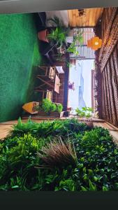 Zahrada ubytování Appartement Belsol Ambiance tropicale et détente