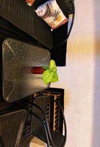 SadaにあるAppartement Belsol Ambiance tropicale et détenteの椅子の背もたれに緑色の蝶がいた +16枚の写真