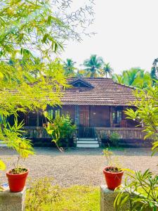 Aed väljaspool majutusasutust Mundro Garden Homestay