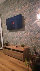 TV a/nebo společenská místnost v ubytování Appartement Belsol Ambiance tropicale et détente