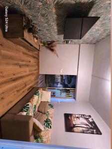 TV a/nebo společenská místnost v ubytování Appartement Belsol Ambiance tropicale et détente