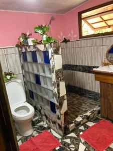 a bathroom with a toilet and a shower at Maupiti Authentique in Te-Fare-Arii +78 photos