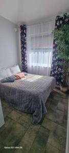 a bedroom with a large bed with a window at Lion Sauna in Vydmantai