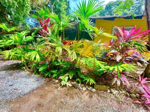 a garden with tropical plants and a yellow house at Ita Ita Casitas Playa Punta Uva in Punta Uva