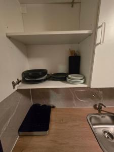 una cocina con fregadero y platos en un estante en Central studio apartment gratis Parkplatz, en St. Gallen
