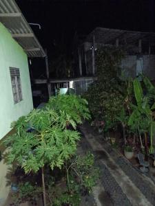 Zahrada ubytování Yala Safari Green Hotel One