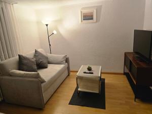 a living room with a couch and a tv at Central studio apartment stgallen gratis Parkplatz in St. Gallen