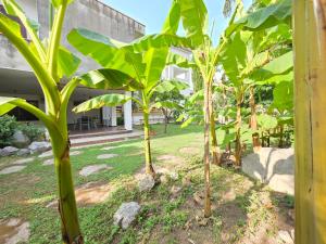 Zahrada ubytování Donna Rosa