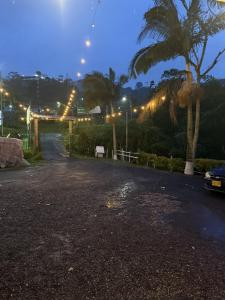 a parking lot at night with palm trees and lights at Eco Hotel Parador de Rapi in Santa Rosa de Cabal