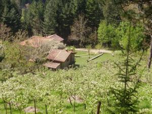 Příroda nedaleko apartmánu