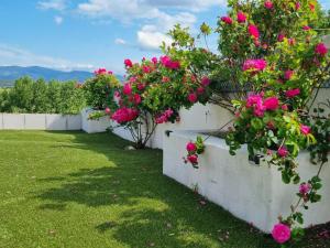 Gallery image of Panorama in Rieux-Minervois +13 photos