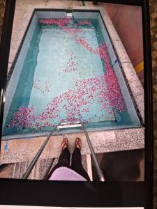 a person standing in front of a swimming pool at Veddaya Farm in Ghaziabad