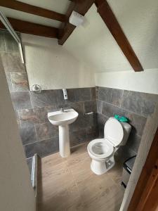 ein Badezimmer mit Toilette und Waschbecken in der Unterkunft Finca de Descanso El Ocaso in Sevilla + 24 Fotos