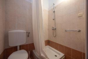 a small bathroom with a toilet and a shower at Apartments by the sea Igrane, Makarska - 311 in Igrane +36 photos