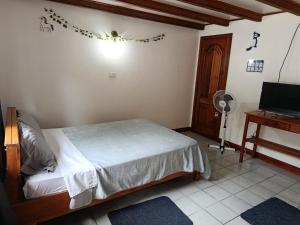a bedroom with a bed and a desk and a television at El Colibrí in Puyo
