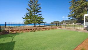 a lawn with a tree and the ocean in the background at Ocean Sunrise - Magical in Avoca Beach