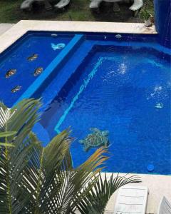 Hồ bơi trong/gần Casa Greengo's Playa Matanchen