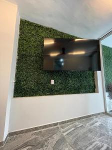 a green accent wall in a room with a wall at Casa Greengo's Playa Matanchen in La Palma