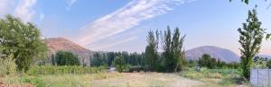 a field with trees and mountains in the background at Cabaña con quincho, tinaja y piscina in Coinco +1 photo