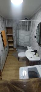La salle de bains est pourvue de 2 toilettes, d'un lavabo et d'une douche. dans l'établissement Cabañas La Patagona y el Chilote, à Llau-Llao