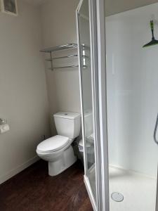 a bathroom with a toilet and a glass shower at Sunny Bob Lee Place in Wanaka +11 photos