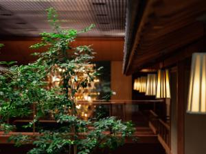 a green plant in a room with a table at Hamanoyu in Suwa