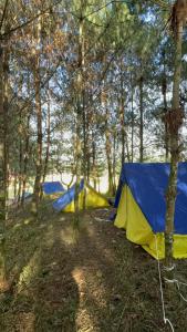 Příroda nedaleko luxury tent