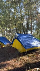 Fotografie z fotogalerie ubytování Camp Wildnest Adventures Dambuk v destinaci Dāmbuk