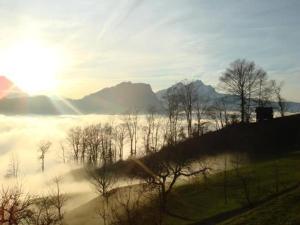 a foggy field with trees and mountains in the background at Oberwilen in Vitznau