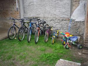 Ποδηλασία στο Maison rénovée contemporaine à Vaumas, proche Le Pal - FR-1-489-160 ή στη γύρω περιοχή