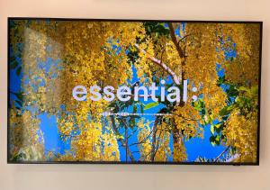 Večerní zábavní program pro hosty v ubytování Vinhomes Grand Park Homestay House