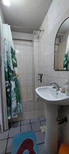 een badkamer met wastafel en douche met spiegel bij Paz in Estación Delta