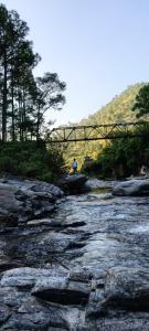 Příroda nedaleko penzionu