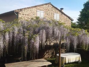 a hedge of wisteria in front of a house at Maison de groupe authentique en Loire avec animaux admis et WiFi - FR-1-496-360 in Saint-Didier-sur-Rochefort