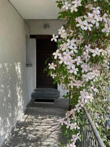 un árbol con flores blancas al lado de un edificio en Casa Ritz, en Vairano