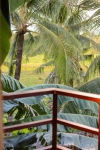 En have udenfor Lusty Glaze Villa Siargao