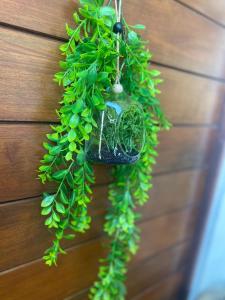 Fotografie z fotogalerie ubytování Hibis Gold v destinaci Cayenne