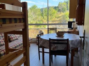 Et opholdsområde på Studio cosy 4 pers, pied des pistes, parking - FR-1-515-238