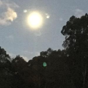 Gallery image of Forest Walks Studio in Jackeys Marsh