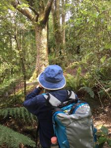 Gallery image of Forest Walks Studio in Jackeys Marsh