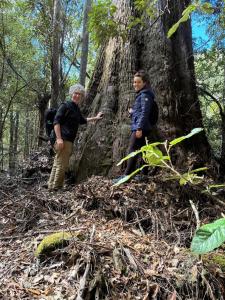 Gallery image of Forest Walks Studio in Jackeys Marsh